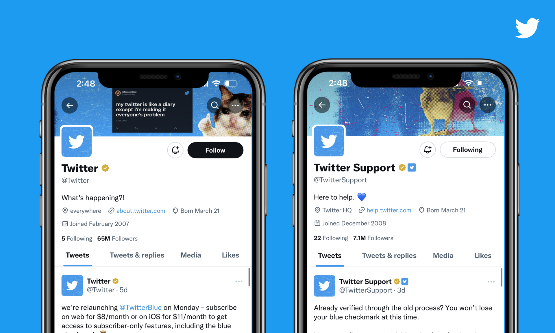 Twitter Lets Users Apply For Verified Accounts