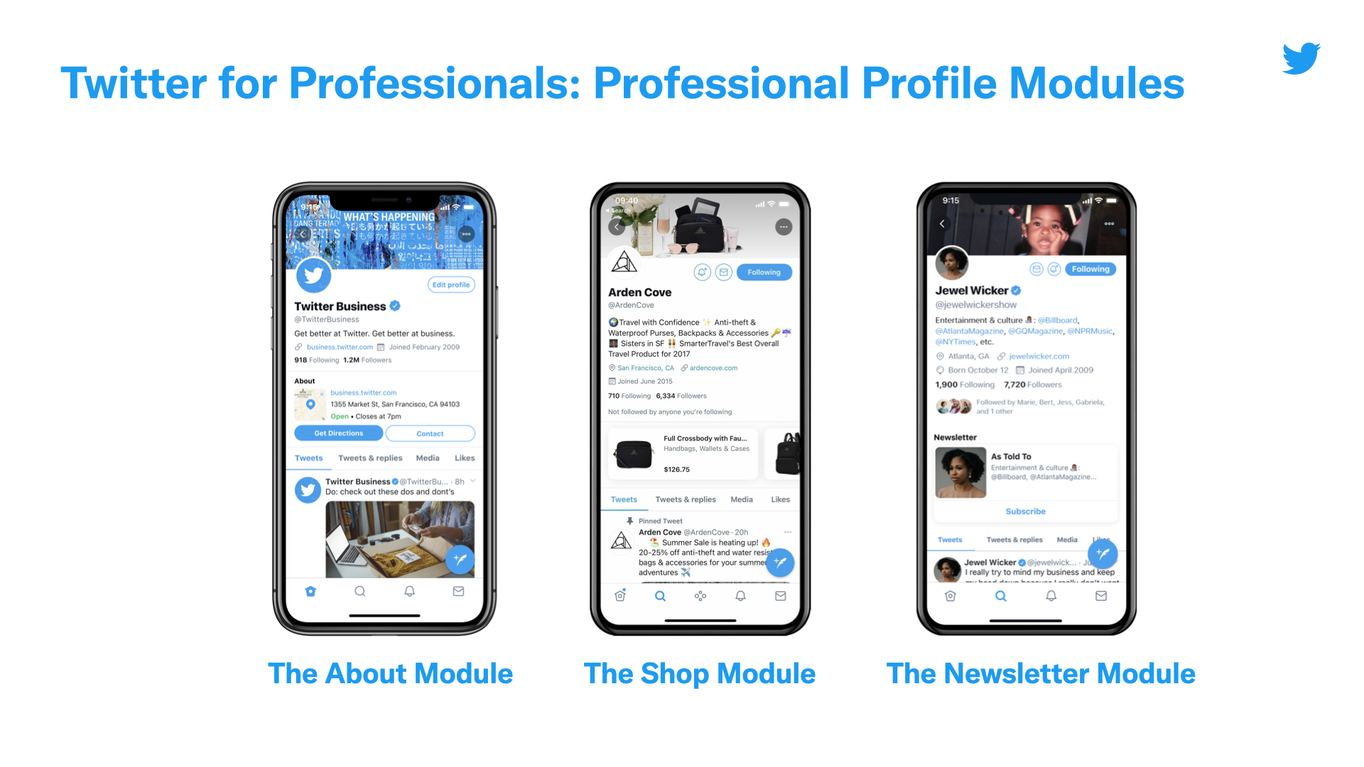 Twitter for Professionals modules