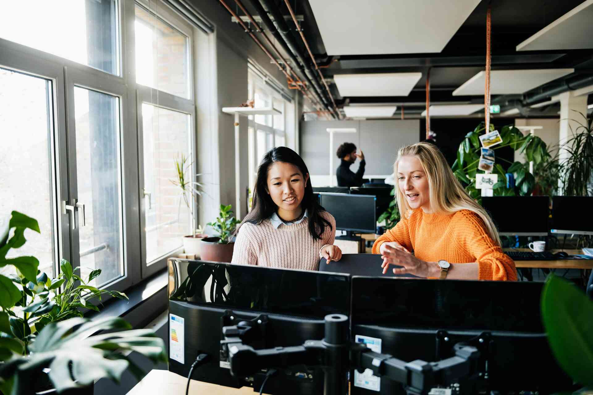 des collègues regardent un écran d'ordinateur au travail