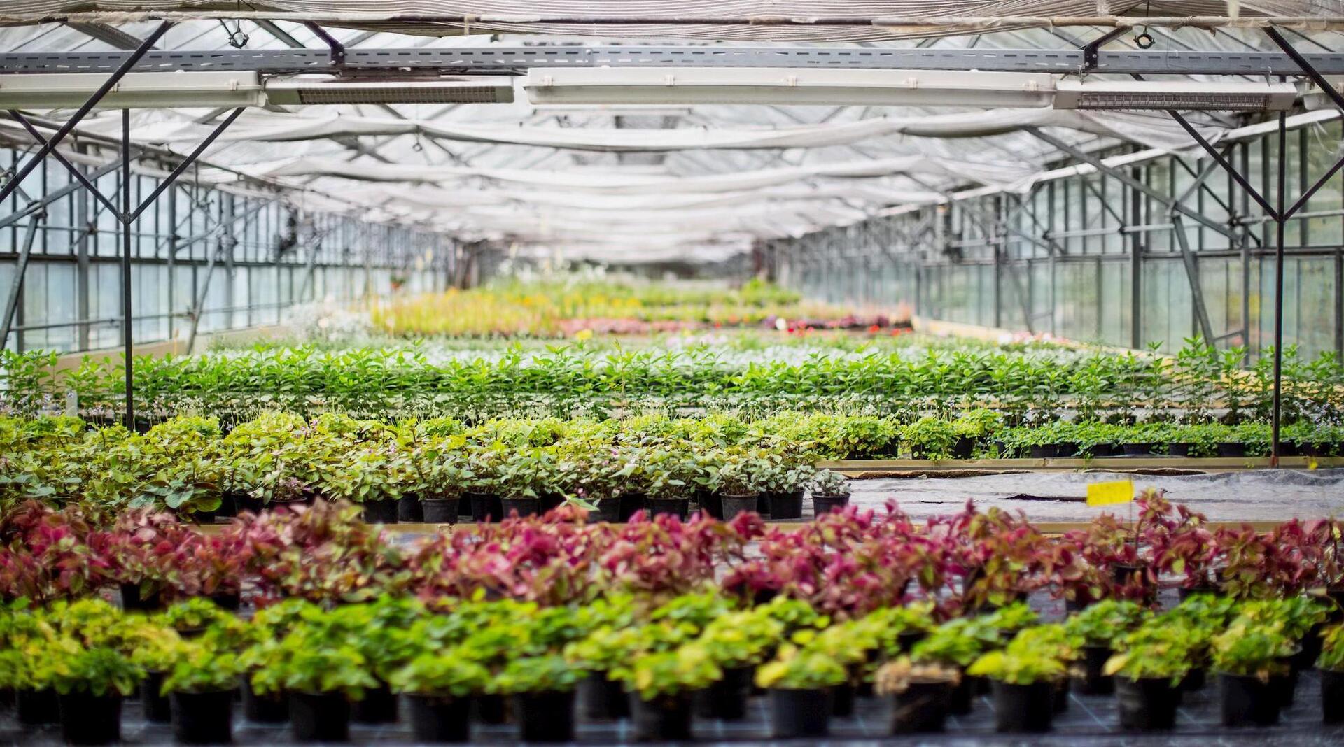 Agriculture