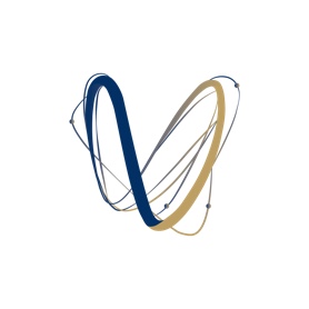 Wise.Blue logo Partner logo image
