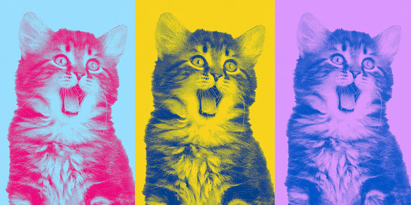 Foto multicolorida de um gato replicada em três colunas nas cores da marca do Twitter