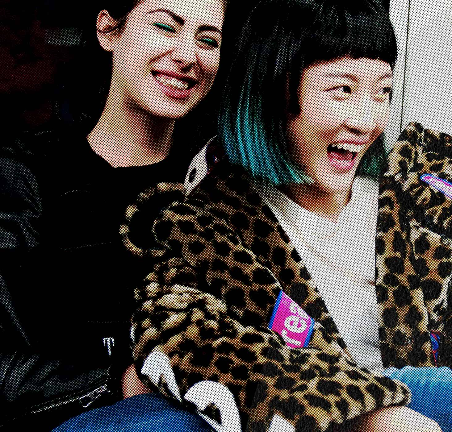 Image of two fans to represent "Fan Power"