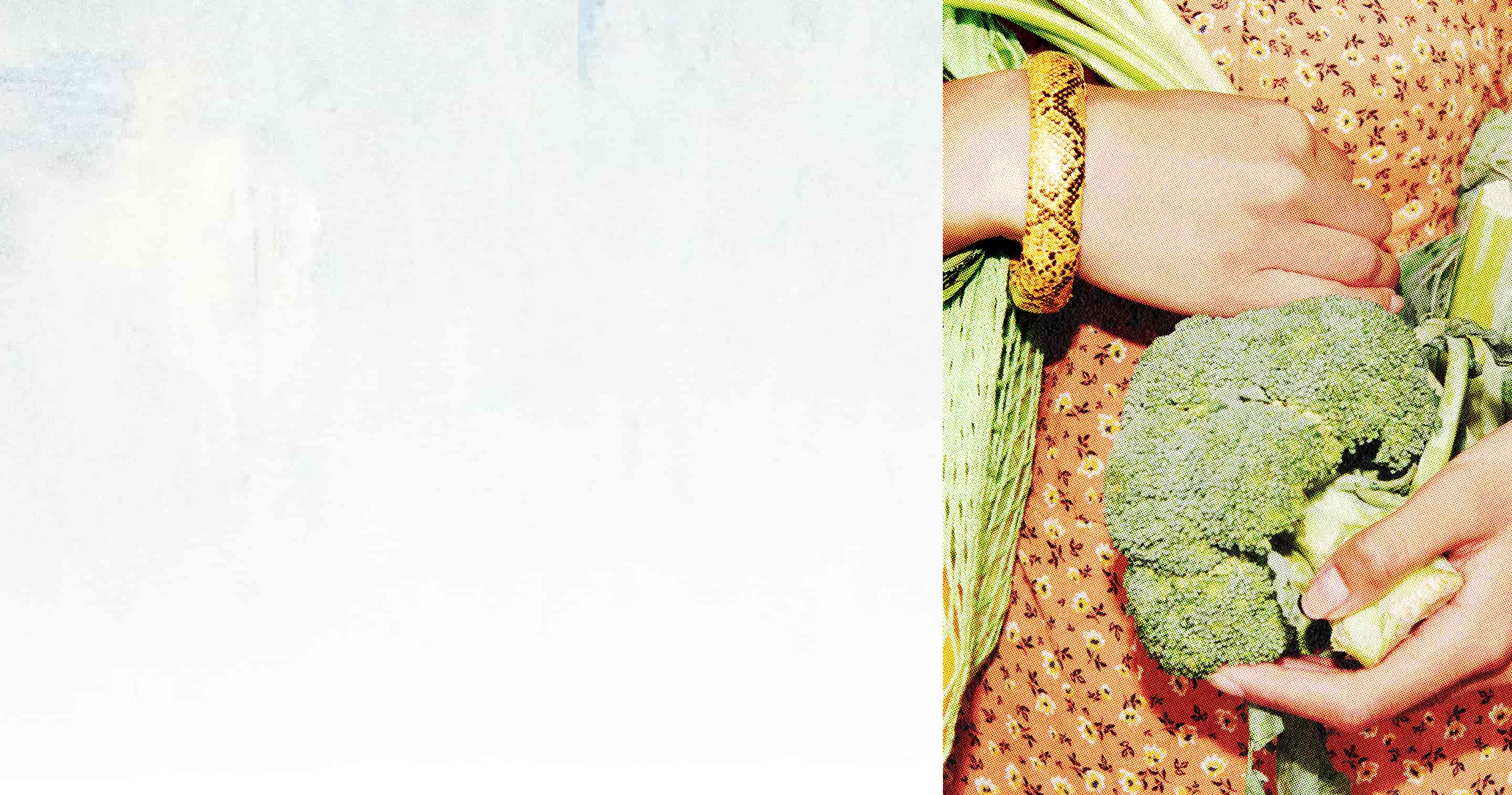 Image of person holding green vegetables